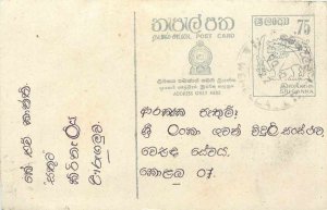 Entier Postal Stationery Postal Sri Lanka Ceylon Lion