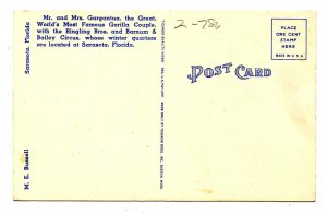 FL - Sarasota. Ringling Bros. & Barnum & Bailey Circus, Famous Gorilla Couple