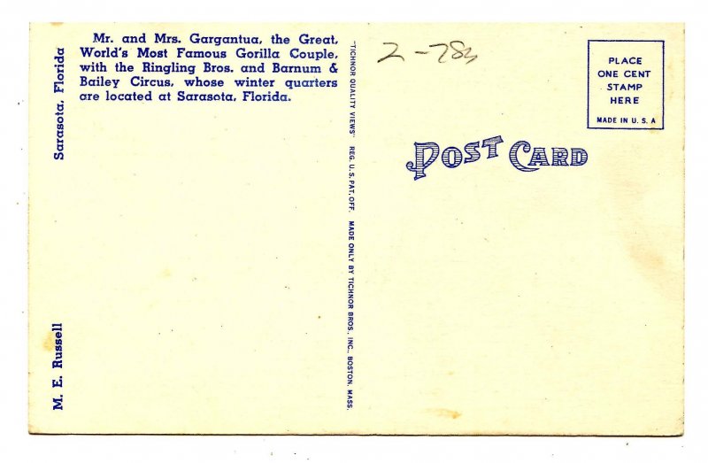 FL - Sarasota. Ringling Bros. & Barnum & Bailey Circus, Famous Gorilla Couple