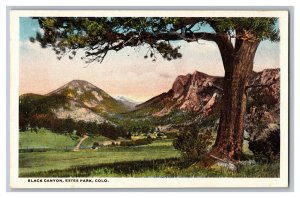 Postcard CO Black Canyon Estes Park Colo. Colorado 