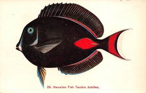 Achillies Hawaiian Fish Fish Unused 