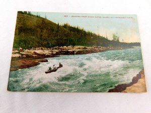 Circa 1900-10 Shooting White Horse Rapids, Alaska Peterboro Canoe Postcard P29