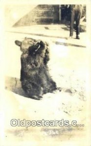 Bear 1941 postal used 1941