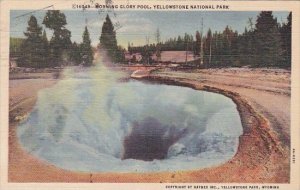 Wyoming Yellowstone National Park Morning Glory Pool 1949