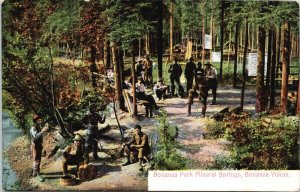 Bonanza Park Mineral Springs Bonanza Yukon YT Unused Postcard G17