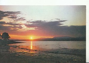 Scotland Postcard - Sunset over Beauly Firth - Inverness-shire - Ref TZ8366