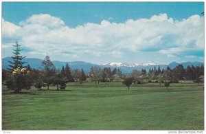 Golf Course , COMOX , B.C., Canada , PU-1972