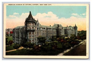 Vintage 1920s Postcard American Museum of Natural History New York City, NY