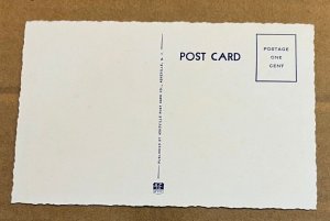 UNUSED .01 POSTCARD - DATE PALM IN FLORIDA