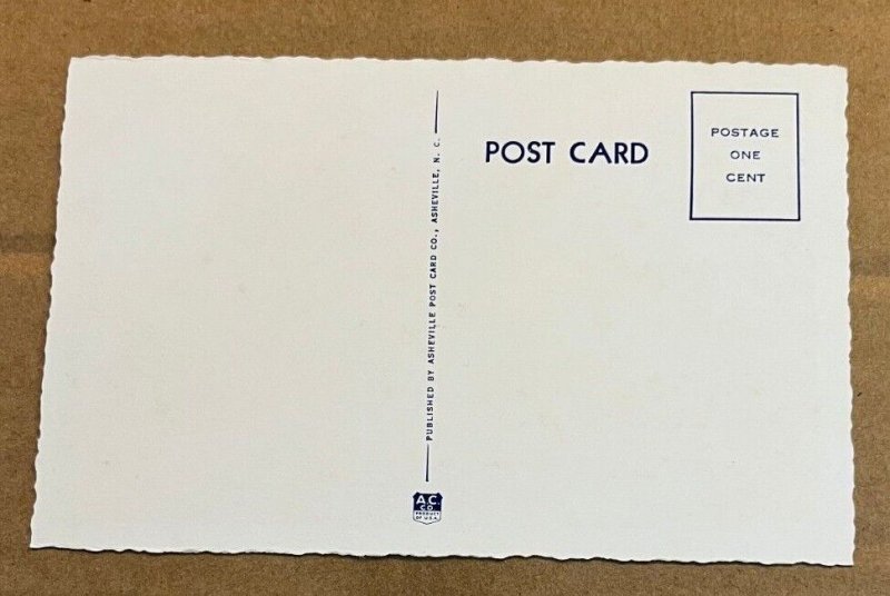 UNUSED .01 POSTCARD - DATE PALM IN FLORIDA