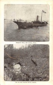 DISPATCH BOAT CALLAO PERU & RIO DE JANEIRO BRAZIL BIRDS MULTI-VIEW POSTCARD