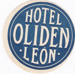 Spain Leon Hotel Oliden Vintage Luggage Label sk2755