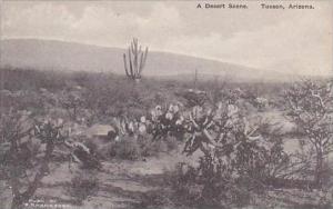 Arizona Tucson A Desert Scene Albertype