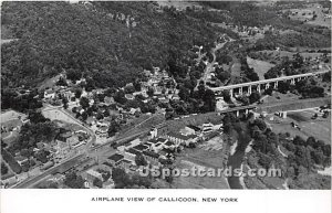 Airplane View - Callicoon, New York NY Postcard