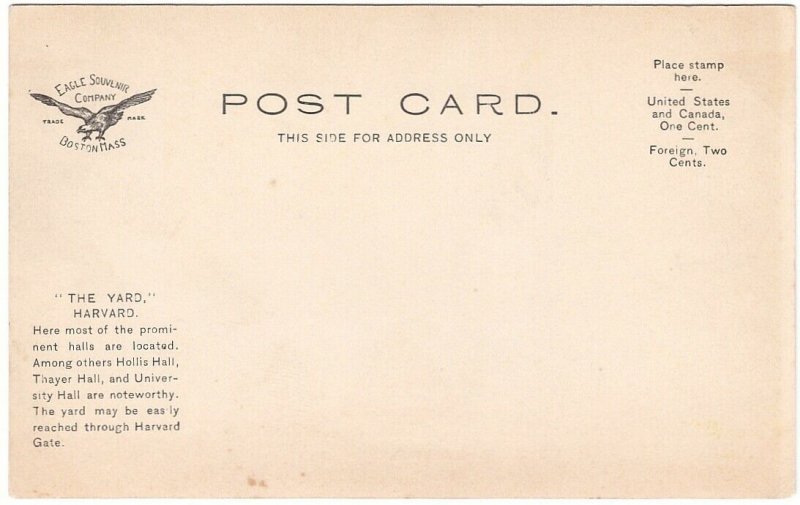 The Yard, Harvard University, Cambridge, Massachusetts, Antique Postcard