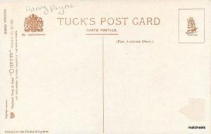 American YMCA Artist impression Beautiful horse Tuck postcard 8139