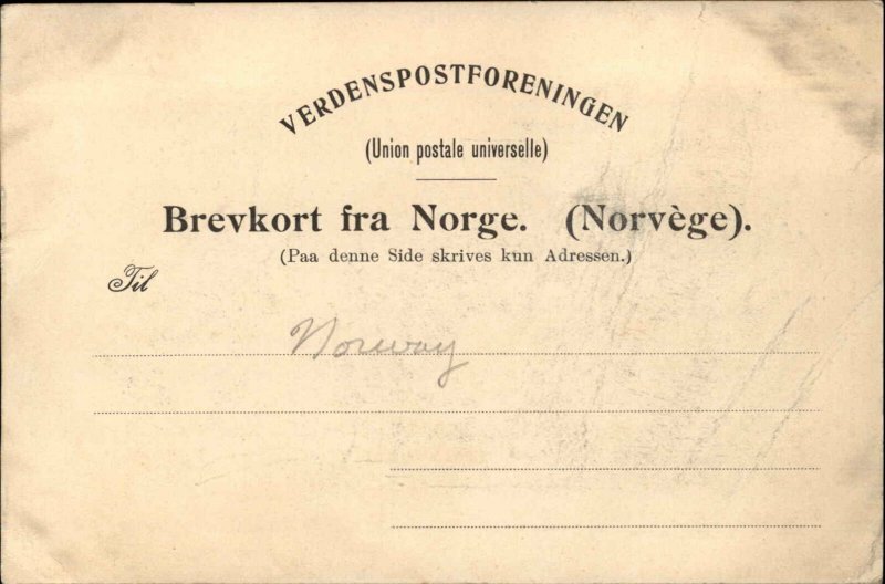 Norge Norway Norwegian History Composer Edvard Grieg c1900 Postcard