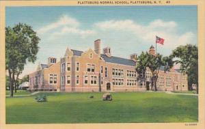 New York Plattsburg Normal School Curteich