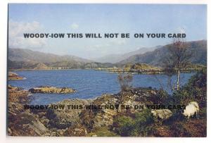 Dix0061 - Loch-Nan-Uamh , Inverness-shire - Dixon postcard 3610