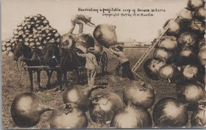 RPPC Exaggeration Postcard Harvesting Profitable Crop Onions Iowa