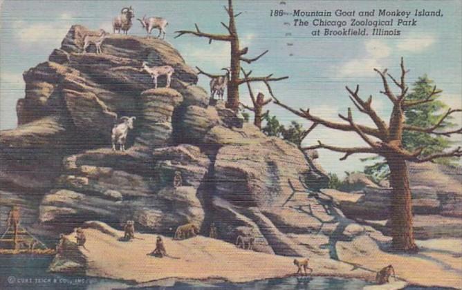 Illinois Chicago Zoological Park At Brookfield Mountain Goat & Monkey Island ...