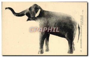 Old Postcard Marseille Exposition Coloniale L & # 39Elephant Elephant