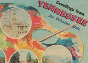 c1960s Greetings From Tennessee artist palette 5 scenic views postcard C955 