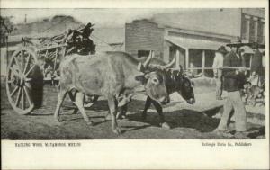 Matamoras Mexico Hauling Wood Oxen Team c1910 Postcard