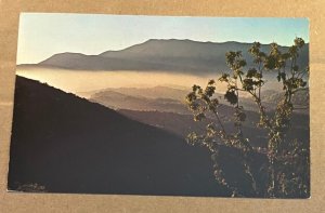 UNUSED POSTCARD - MT. CAMMERER AT SUNRISE, GREAT SMOKY MTNS NATIONAL PARK