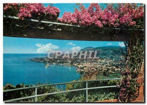 Modern Postcard Madeira West View