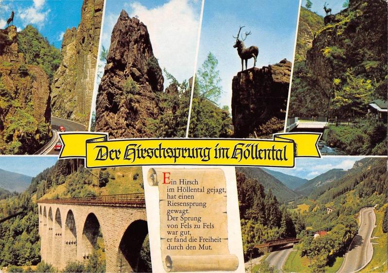 BT14217 Der Gierschsprung um Hollental cerf dear          Germany