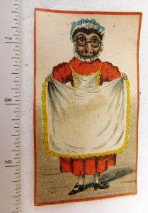 1870's Early Anthropomorphic Owl Lady Apron Bonnet Victorian Trade Card F50