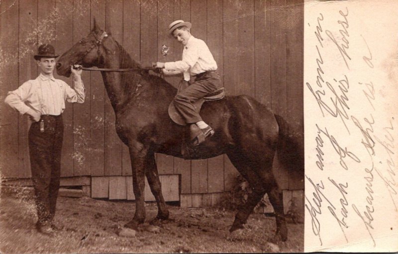 Horses Man On Horseback Real Photo