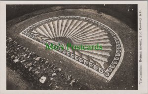 Hertfordshire Postcard - Verulamium Roman Mosaic, 2nd Century  DC2428