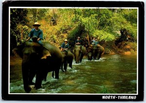M-49390 Elephants with Mahouts on their Backs Crossing a Stream to Work in th...