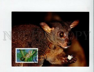 3132590 WWF TANZANIA Lemur old 4 postcards MAXIMUM CARD 1989