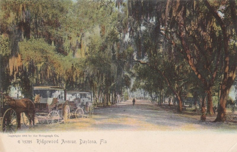 Florida Daytona Reidgewood Avenue Rotograph sk1881