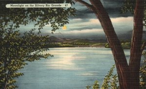 Texas, Moonlight on The Silvery Rio Grande, River, TX, Vintage Postcard