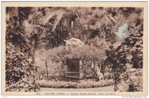 Square Edgar-Quinet (Mort d'lcare), Sidi-Bel-Abbes, Algeria, Africa 1900-1910s