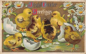 CHICKENS & CHICKS~HAPPY EASTER~LOT OF 4 POSTCARDS