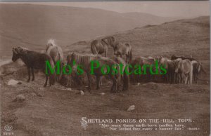 Animals Postcard - Shetland Ponies on The Hill Tops - Poetry Ref.RS30666