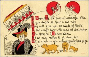 Multiview Pigs Woman Streetcar