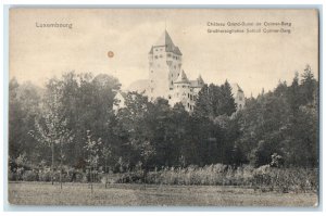 c1910 Chateau Grand-Ducal De Colmar-Berg Luxembourg Unposted Antique Postcard