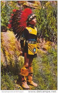 Young Indian Warrior