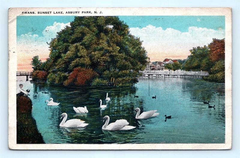 Postcard NJ Asbury Park Swans Sunset Lake c1930's View I3