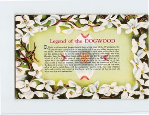 Postcard Legend of the Dogwood