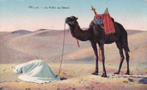 Camel In The Desert La Priere au Desert