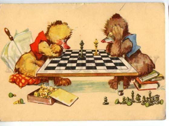 154688 CHESS Players TEDDY BEAR Comic Vintage postcard