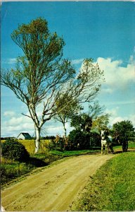 Roseneath Prince Edward Island Canada Farm Horse Wagon Chrome WOB Postcard 