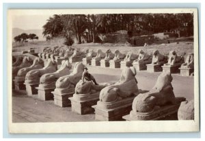 c. 1910 RPPC Tourist Egypt On Lion Statues Temple Karnak Luxor Postcard P31